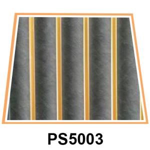 PS-Design-5003