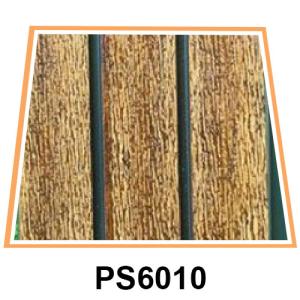 PS-Design-6010