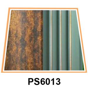 PS-Design-6013